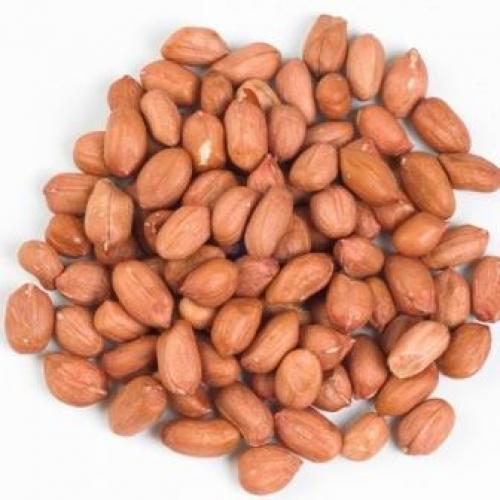 Red Skin Peanuts For Birds & Racing Pigeons