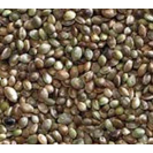 Hemp Seed For Caged Birds & Racing Pigeons